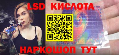 прущие грибы Краснокаменск