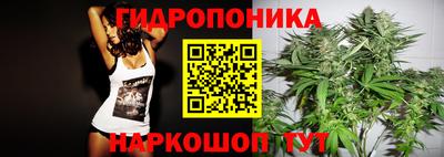 индика Кунгур